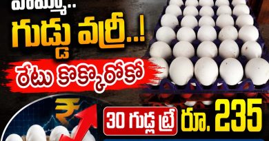 30-eggs‍-rs235 : గుడ్ల ధరలకు రెక్కలు Andhra Prabha Top News