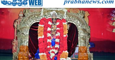 భక్తి ప్రేమతో అమ్మకు సారే..