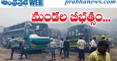Private buses |