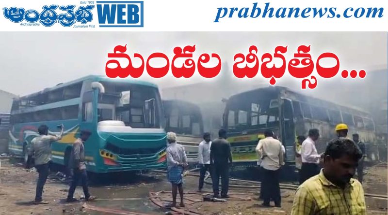 Private buses |