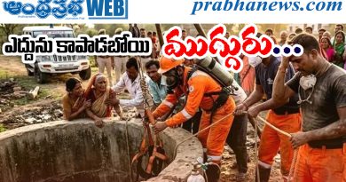 Bull Rescue