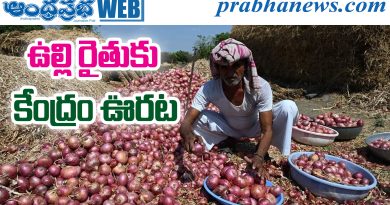 Onion Farmers