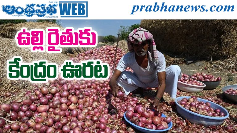 Onion Farmers
