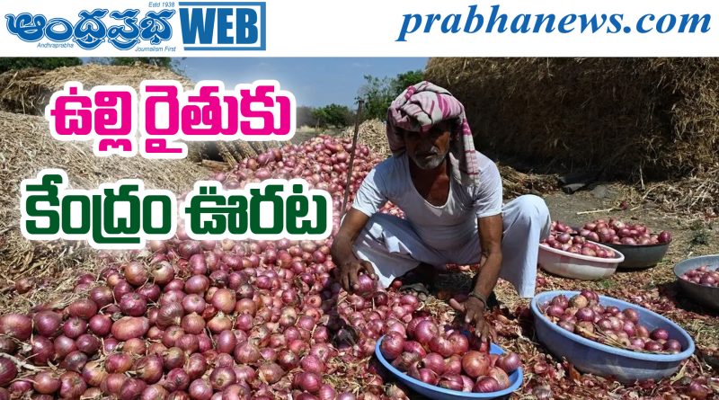 Onion Farmers