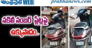 Fake Number Plates