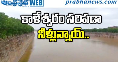 Kaleshwaram