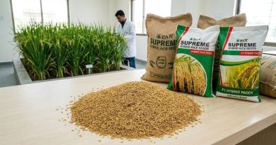 Seed Prices
