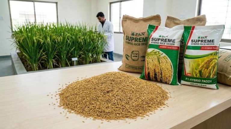 Seed Prices