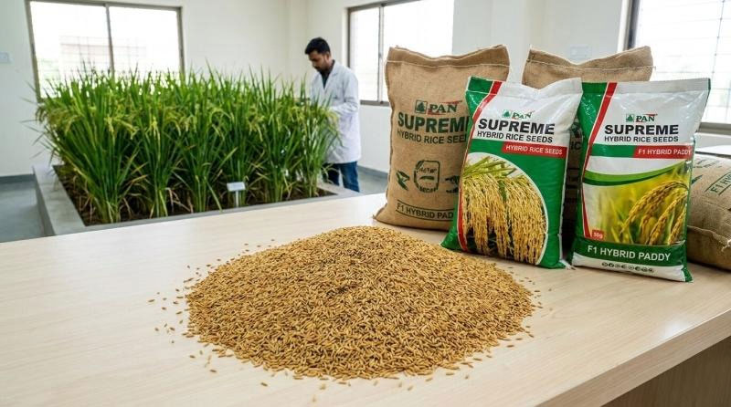 Seed Prices
