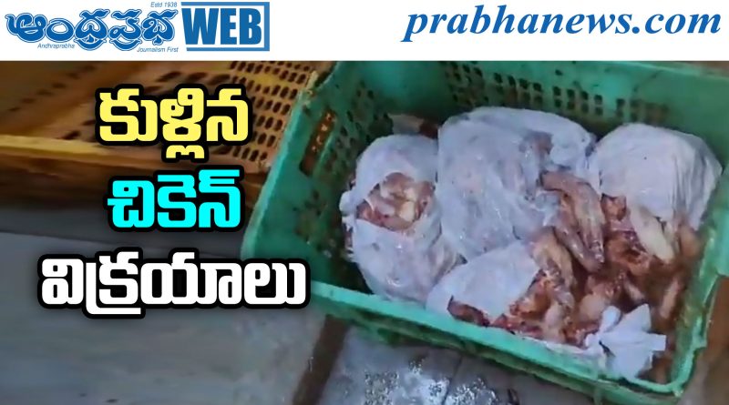 rotten chicken