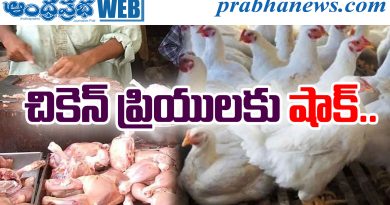 Chicken Prices