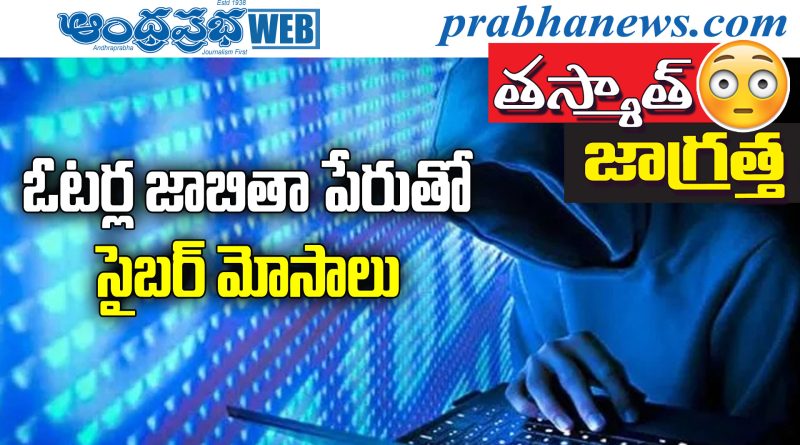 Cyber Fraud