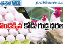 Chicken Prices