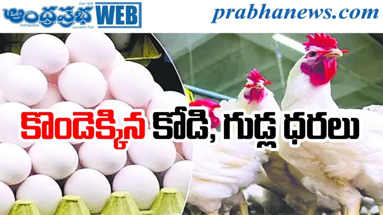Chicken Prices