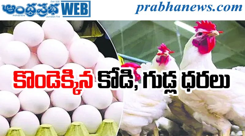 Chicken Prices