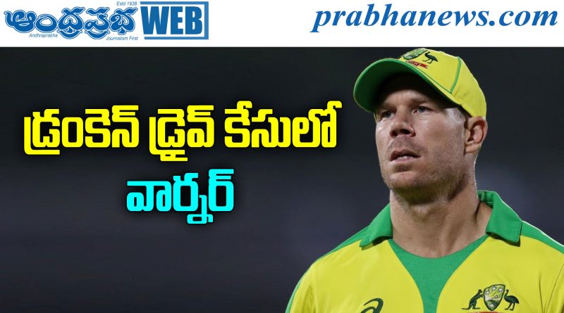 David Warner
