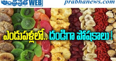 Dehydrated Fruits