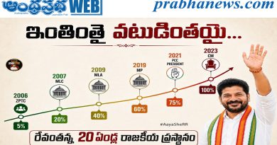 Political Journey