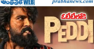peddi