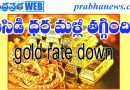 Gold Market Update