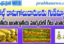 Gold Price Today, Today Gold Rate in India, Gold Rate July 17 2026