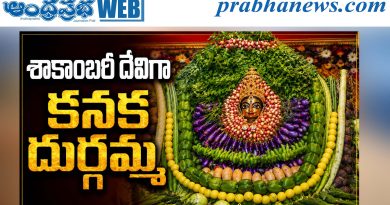 Indrakeeladri | వైభవంగా శాకంబరీ ఉత్సవాలు ప్రారంభం..
