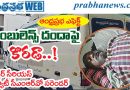Andhra-Prabha-Effect : అంబులెన్స్ దందా కు ఫాక్​ Andhra Prabha Top News